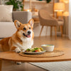 Understanding French Bulldog Temperament: What Every Dog Lover Should Know