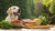 Understanding Grain-Free Dog Food: Why Should You Feed Your Dog Grain Free Food?