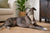 Understanding Greyhound Personality Traits
