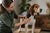 Understanding Harrier Health Problems: A Comprehensive Guide for Pet Owners