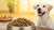 Understanding High Protein in Dog Food: Guidelines for Your Pup's Nutritional Needs-141042417903