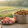 Understanding How Canned Dog Food Is Made: A Comprehensive Guide