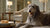 Understanding How Dog Kibble Is Made: A Comprehensive Guide for Pet Owners