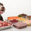 Understanding How Long Does Frozen Raw Dog Food Last: A Comprehensive Guide