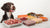 Understanding How Long Does Frozen Raw Dog Food Last: A Comprehensive Guide