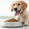 Understanding How Long Dogs Stay on Puppy Food: A Comprehensive Guide