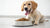 Understanding How Long Dogs Stay on Puppy Food: A Comprehensive Guide