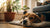 Understanding How Long Food Allergy Symptoms Last in Dogs