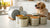 Understanding How Long Open Canned Dog Food is Good For and Optimal Storage Solutions-141045956847