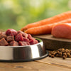 Understanding How Many Calories in Raw Dog Food: A Comprehensive Guide
