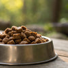 Understanding How Many Calories in Wet Dog Food: A Guide for Pet Parents