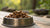 Understanding How Many Calories in Wet Dog Food: A Guide for Pet Parents