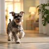 Understanding How Many Calories Should a 25 lb Dog Eat: A Comprehensive Guide for Pet Owners