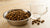 Understanding How Many Cups in 24 oz Dry Dog Food