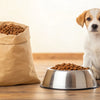 Understanding How Many Grams of Dog Food for Puppy: A Complete Guide for New Pet Owners