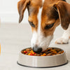 How Many Pounds of Food Does a Dog Eat?