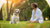 Understanding How Much Behavioral Therapy for Dogs Costs