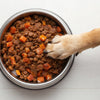 How Much Canned Dog Food Should My Dog Eat?