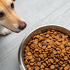 How Much Crude Ash Should Be in Dog Food?