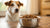 Understanding How Much Dog Food a Day: A Comprehensive Guide for Every Dog Owner-140552536303