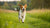 Understanding How Much Exercise Does a Dog Need for Optimal Health
