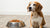Understanding How Much Food a 25 lb Dog Really Needs-140859310319