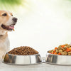 Understanding How Much Food a 70 lb Dog Needs: A Complete Guide