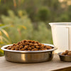 Understanding How Much Food Does My Dog Need a Day