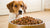 Understanding How Much Food Should a Dog Eat a Day: A Comprehensive Guide