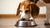 Understanding How Much Food Should an 11 Pound Dog Eat