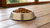Understanding How Much Food Should an Adult Dog Eat Per Day