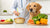 Understanding How Much Food Should I Feed My Diabetic Dog: A Comprehensive Guide-140659032303