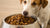 Understanding How Much Food to Feed a 20 lb Dog