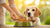 Understanding How Much Food to Feed Your Adult Dog