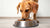 Understanding How Much Food to Give a Medium-Sized Dog: A Comprehensive Guide