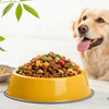 Understanding How Much Homemade Dog Food to Feed a Dog