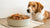 Understanding How Much Homemade Dog Food to Feed My Dog: A Comprehensive Guide