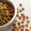 Understanding ‘How Much is 200 Grams of Dog Food’ for Your Canine Companion