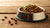 Understanding How Much is a Cup of Dog Food: Your Comprehensive Guide