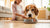Understanding How Much Is Dog Food: A Comprehensive Guide for Pet Owners