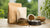 Understanding How Much is Dog Food a Month: A Guide for Pet Owners-140654412015