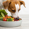 Understanding How Much Natural Food to Feed Your Dog