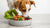 Understanding How Much Natural Food to Feed Your Dog-140653887727