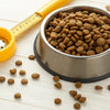 Understanding How Much Protein Does Dog Food Have in Grams