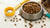 Understanding How Much Protein Does Dog Food Have in Grams