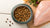 Understanding How Much Protein Your Dog Food Should Have-140653592815