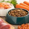 Understanding How Much Protein Your Dog Needs: What Percent Protein Should Dog Food Be?