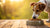Understanding How Much Proteins in Dog Food Matters for Your Pup-140546441455