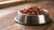 Understanding How Much Raw Dog Food to Feed: A Comprehensive Guide for Pet Owners