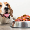 Understanding How Much Raw Food Does a Dog Need: A Comprehensive Guide